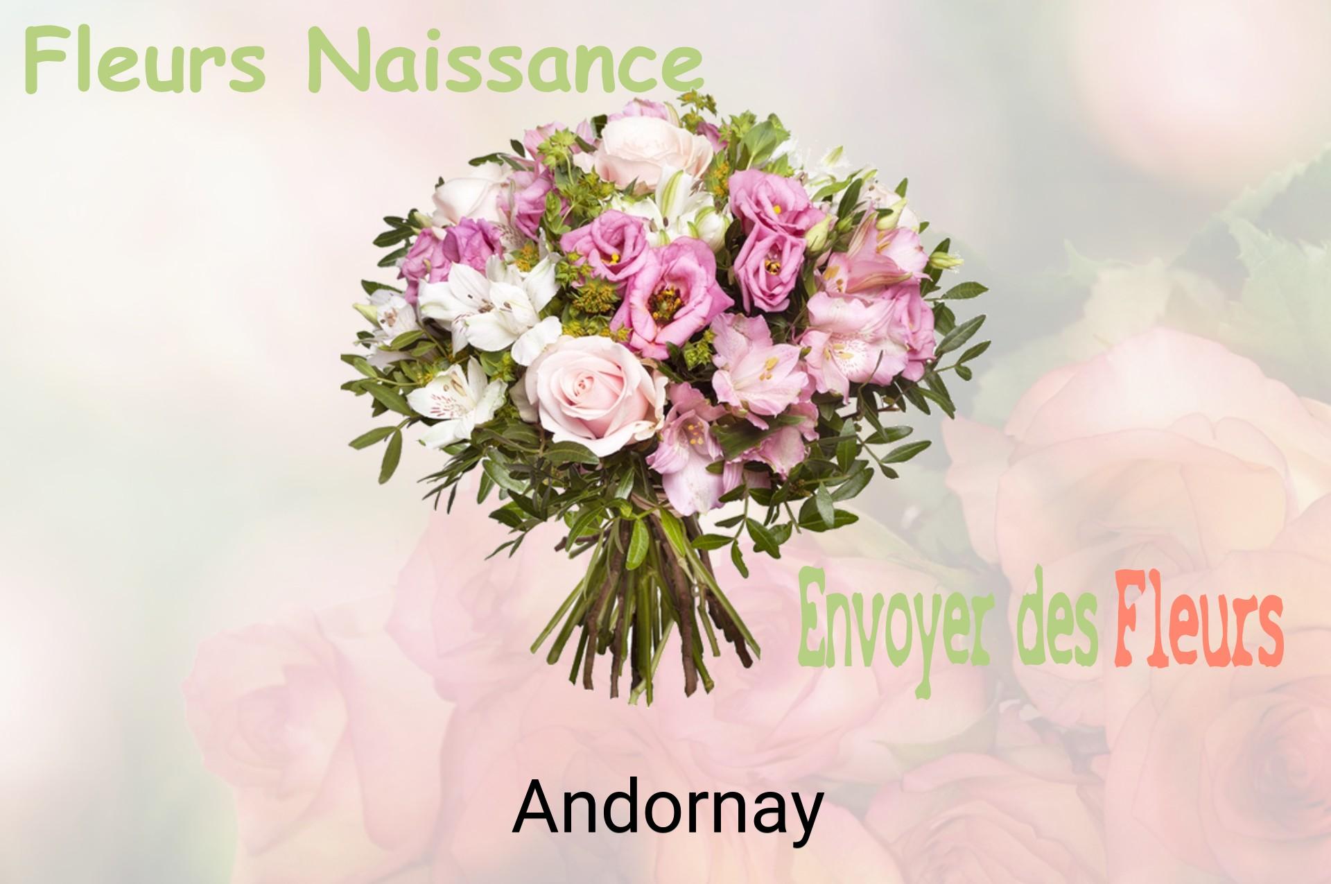 Bouquet de fleurs de naissance livré à Andornay